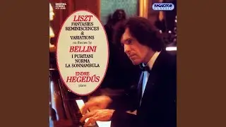 Tema. Allegro marcato