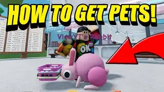 КАК ПОЛУЧИТЬ НОВЫХ ПИТОМЦЕВ В СИМУЛЯТОРЕ ПРАЧЕЧНОЙ! (ROBLOX)