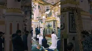 🌿Light of madina ||Emotional dua in Rayaz ul jannah ||the garden of jannah 🕋💯#islamicvideo #shorts🤲🙏
