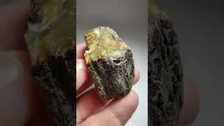 Amber from Sumatra.