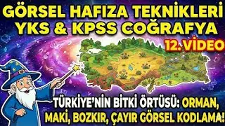👉 Türkiye'nin Bitki Örtüsünü 