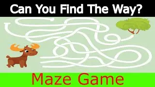 Maze Game | Solve The Maze| Find The Way Out Of Labyrinth