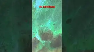 Warhammer Age of Sigmar Lore: The Vermindoom