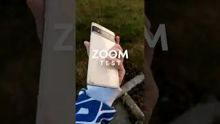 Google Pixel 6 Pro CAMERA ZOOM TEST: Still Good?