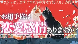 ❤️恋愛感情ある？❤️新シーズンSTART❤️お相手様の気持ち【辛口ありタロット本格有料鑑定級】