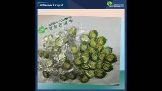 【Go Green, Act Green!  JCDecaux Transport  德高貝登6.5 支持