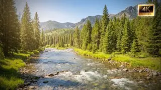 Soothing River Sounds & Birds Chirping For Deep Relaxation