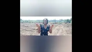 Land for sale, Lagos State. #realestate #landforsale #propertyinvestors #epe #affordablelandinlagos