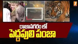 రాజానగరం లో పెద్దపులి పంజా | High Tension in Rajanagaram | Rajahmundry Tiger Latest News  | iNews