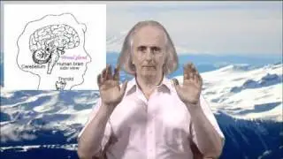 Healing the Pineal Gland Transmission