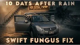 Swift Flood Aftermath: Interior Fungus & Water Damage Fix | Karachi Rains Case Study