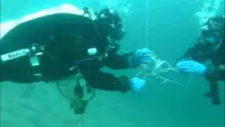UTRtek Correctly Skill - Lancio Pedagno