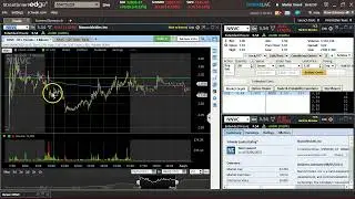 Mindset Rant $NNVC