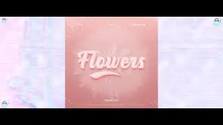 Flowers - Tc-5, lace., itsAirLow - Music Visualization - Trippy - 4K