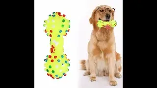 Squeaky Chew Toys For Dogs