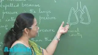 NEET-UG Phase 2 2016 - Video Solution for Biology questions 154 to 156