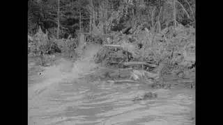Lumbering operations of the F.B. Williams Cypress Co. Ltd. Patterson, La.