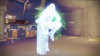 Destiny 2 fighting lion /sidearm combo match