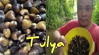 Clam Picking Adventure at Calauan Laguna's Prinza Dam | Exploring the Underwater Treasure