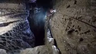 OFD3