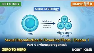 Microsporogenesis Process Sexual Reproduction In Flowering Plants Part 4