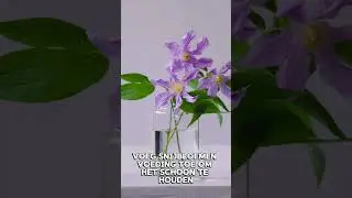 Clematis verzorgingstips