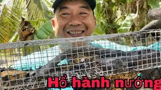 #18 ways to catch snakes by setting traps @huunghitv