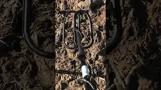 My Bounty Hunter Metal Detector Found History! #ramdetecting #metaldetecting #dirtfishing #shorts