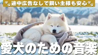 犬が落ち着く音楽 (12時間広告なし) 🐶 犬のヒーリング音楽 | 夜泣き防止 / vol.724