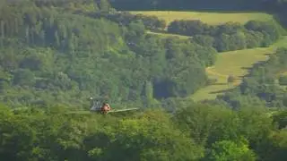 Polikarpow I-16 Rata Hahnweide 2009
