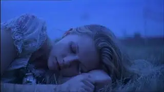 Fade back into your memory || The Virgin Suicides