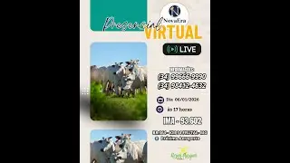 Leil&atilde;o Virtual e Presencial Nova Era Leil&otilde;es Frutal - 05/01/2026
