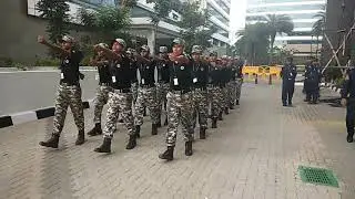 D1SPECIAL FORCE