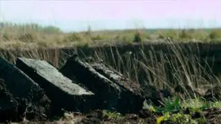 HOME TURF - Trailer