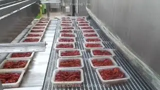 Lobster packing line - multi-head weigher dosing, tray sealing machine
