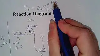 Kinetics Reaction Curve Diagrams