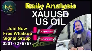 daily gold analysis| xauusd daily forecast|us oil analysis|Gold (XAU/USD) and Crude Oil prices
