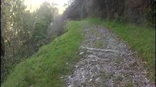 a&ntilde;arbe