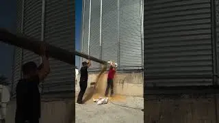 Esse silo de gr&atilde;os esta vazando.