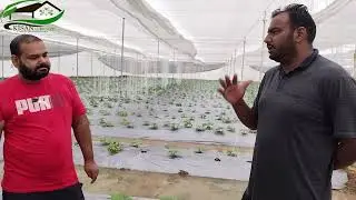 श्रीगंगानगर में किसान एग्री केयर ने बनाया new Low cost Net House
