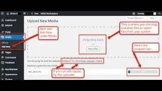 WordPress Media Library How to Add an Image
