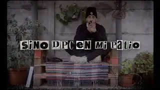 Contestador - Sino Dpc en mi patio 🏚