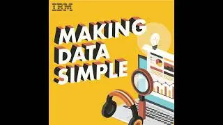 Let's talk tech strategy: IBM strategy with Roger Premo, General Manager, Strategy and Corporate ...