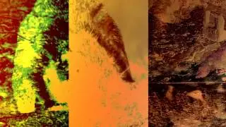 OB Ignitt - Celestial Salacious