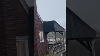 Raccoon in the chimney Pittsburgh (how to remove raccoons)