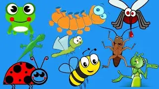 insects names| insects name for kids |learn insects picture | #lizad #cockroch