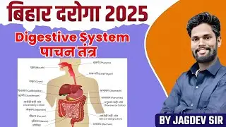 पाचन तंत्र। digestive system। Biology pachan tantra for Bihar Daroga।Biology by Jagdev। #पाचन_तंत्र।