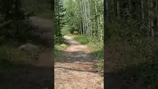 A real life Snow White moment