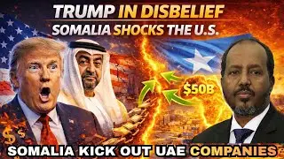 SOMALIA Kicks Out Major UAE Companies--$50B Wiped Out Overnight