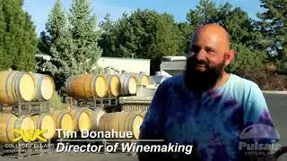 College Cellars of Walla Walla Community College using Pulsair Systems